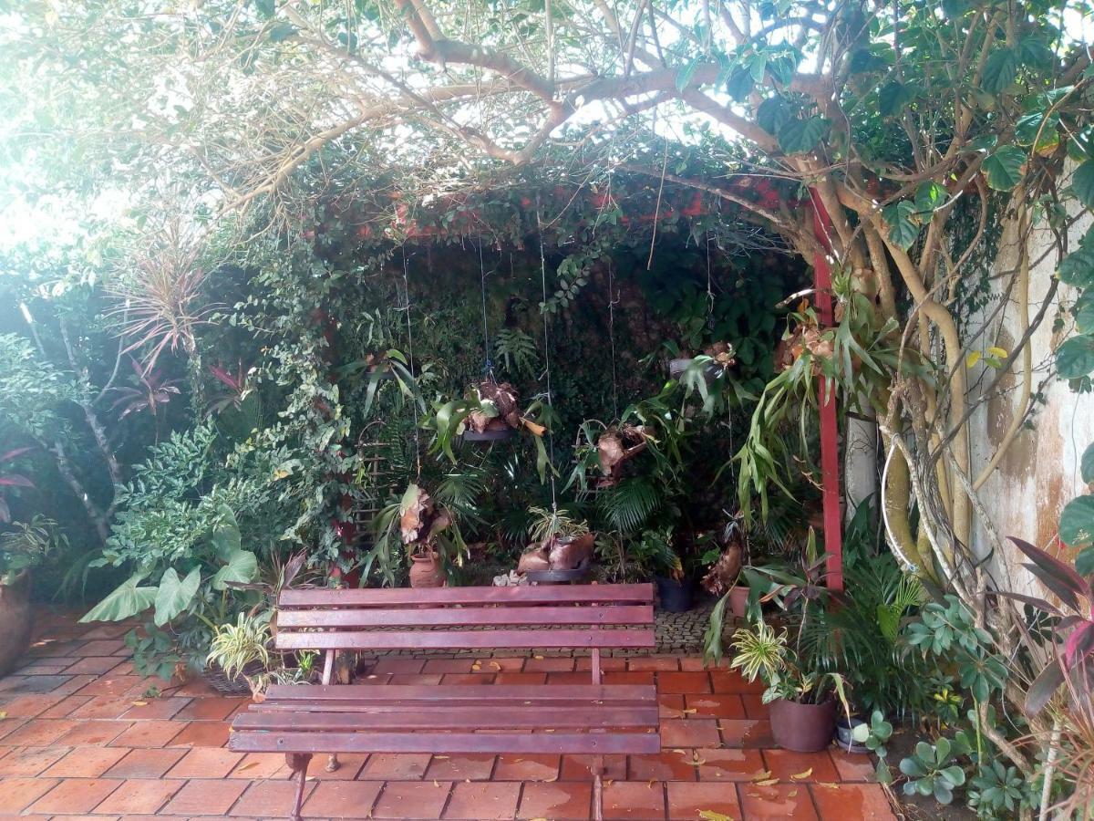 Albergue Aloha 2*